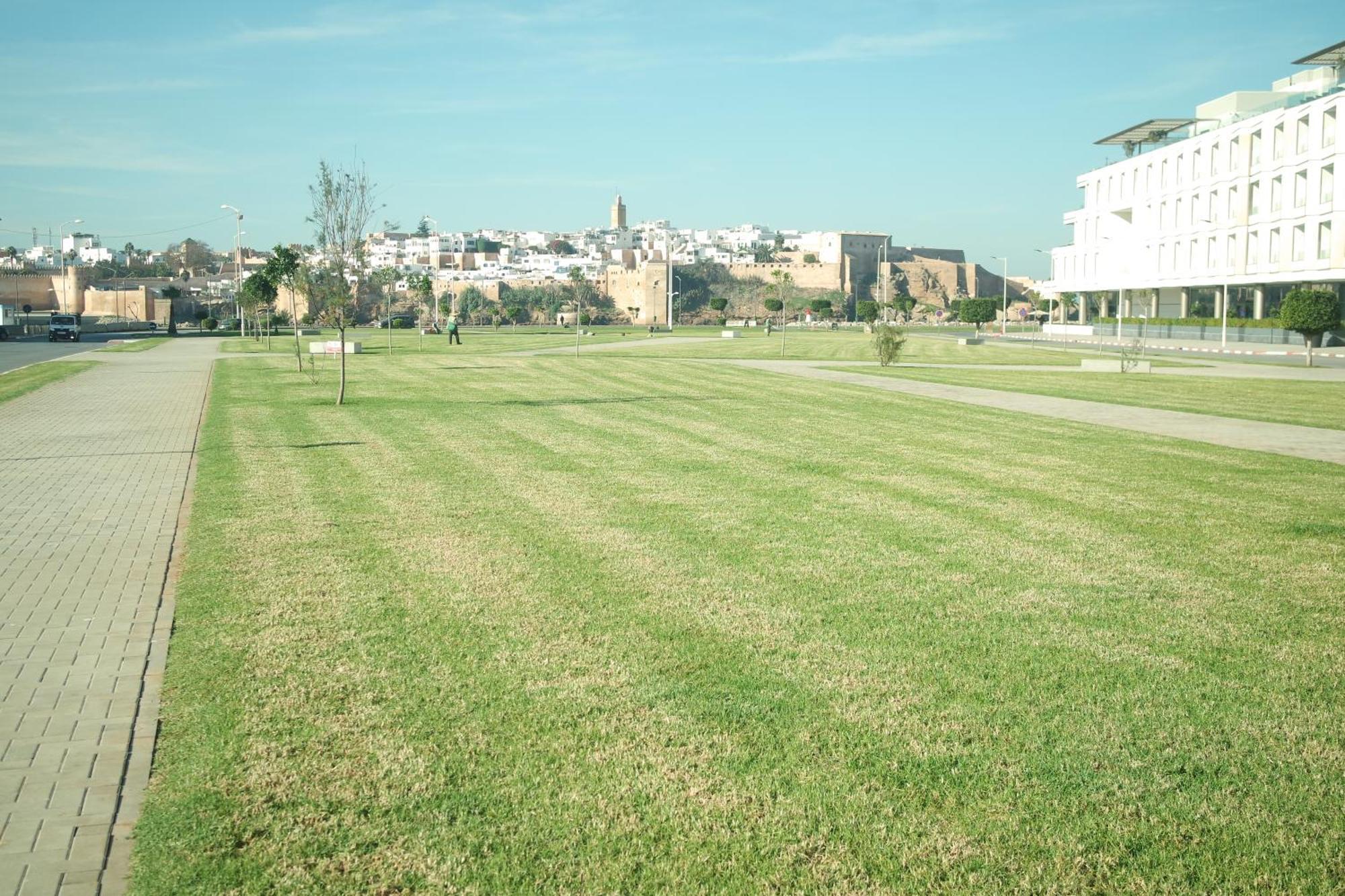 Luxe Serein En Marina Salé Zewnętrze zdjęcie